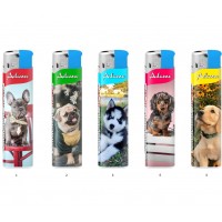 Isqueiro Ref. FL189387